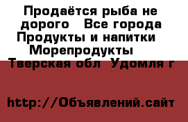 Продаётся рыба не дорого - Все города Продукты и напитки » Морепродукты   . Тверская обл.,Удомля г.